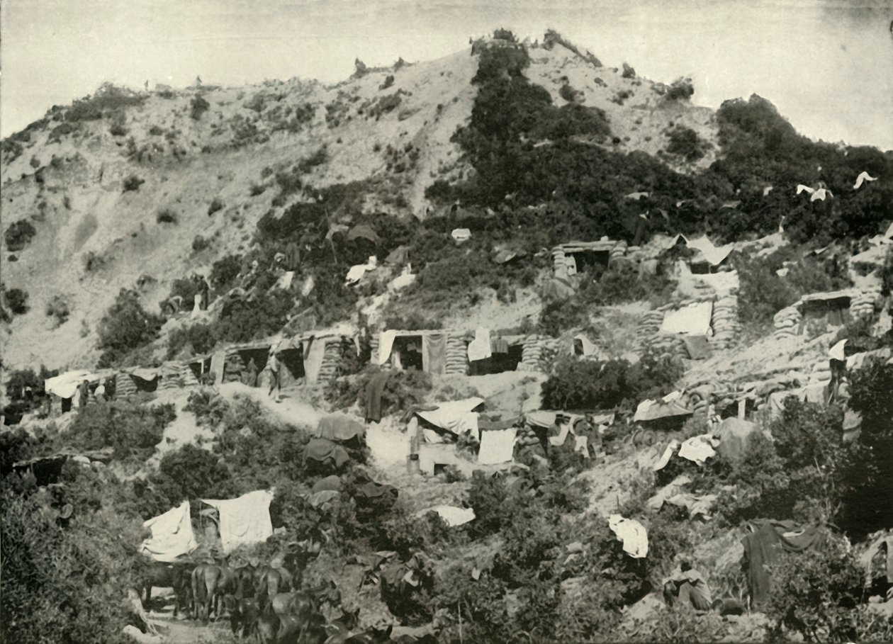 Die britischen Truppen auf der Halbinsel Gallipoli, 1919 von Unbekannt