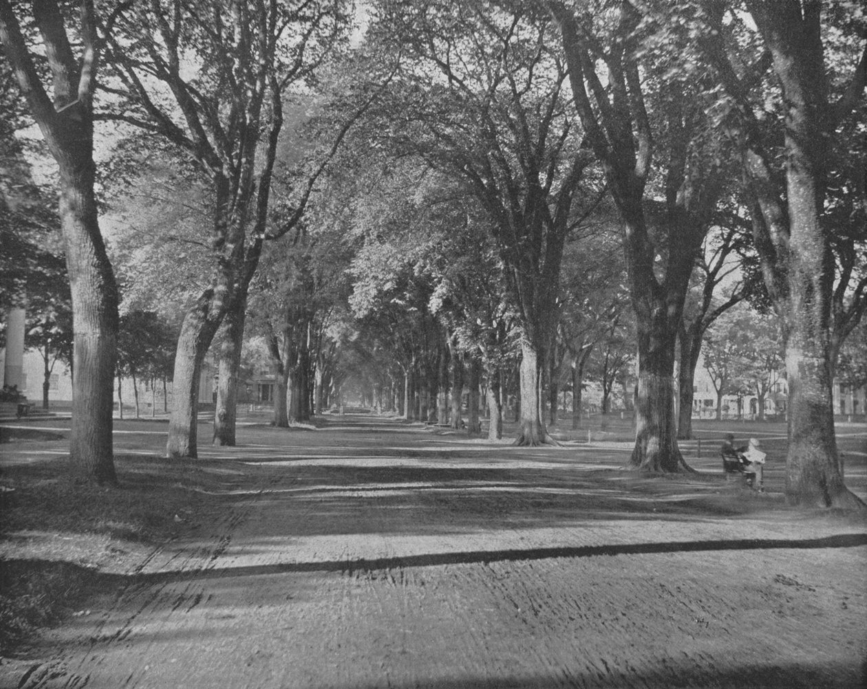 The Elms, New Haven, Connecticut, USA, um 1900 von Unbekannt