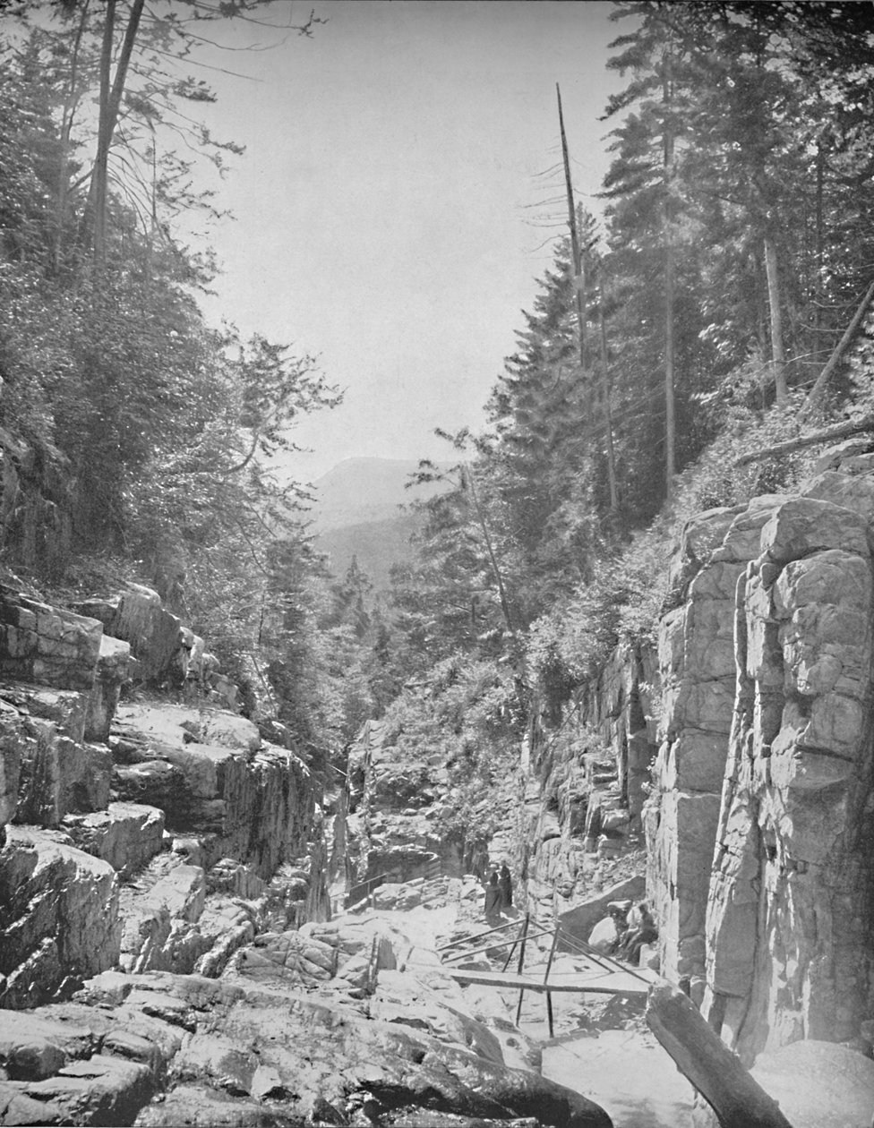 The Flume, Franconia White Mountains, N.H., um 1897 von Unbekannt