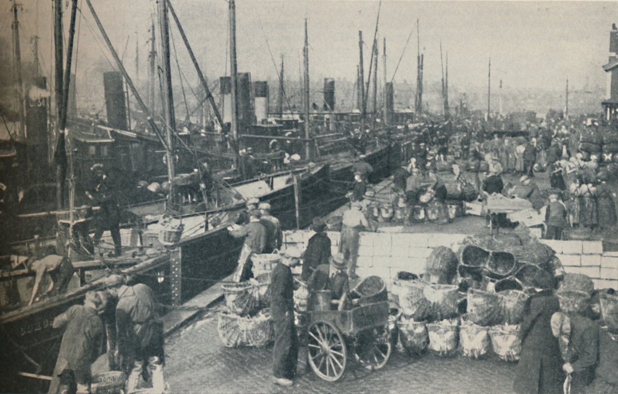 Die Heringssaison in vollem Gange von Unbekannt