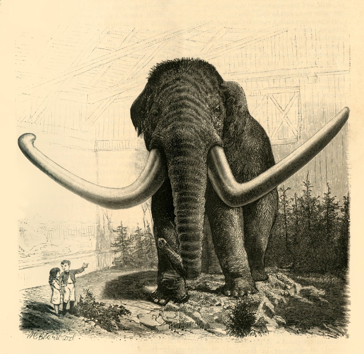 Das Mammut von St. Petersburg, 1883 von Unbekannt