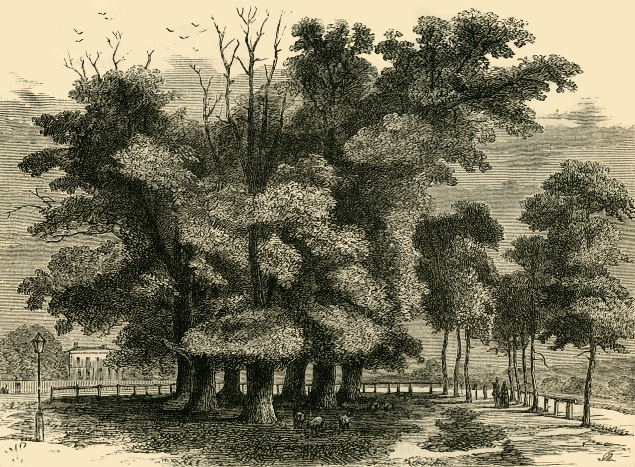 Die Sieben Schwestern, 1830 von Unbekannt