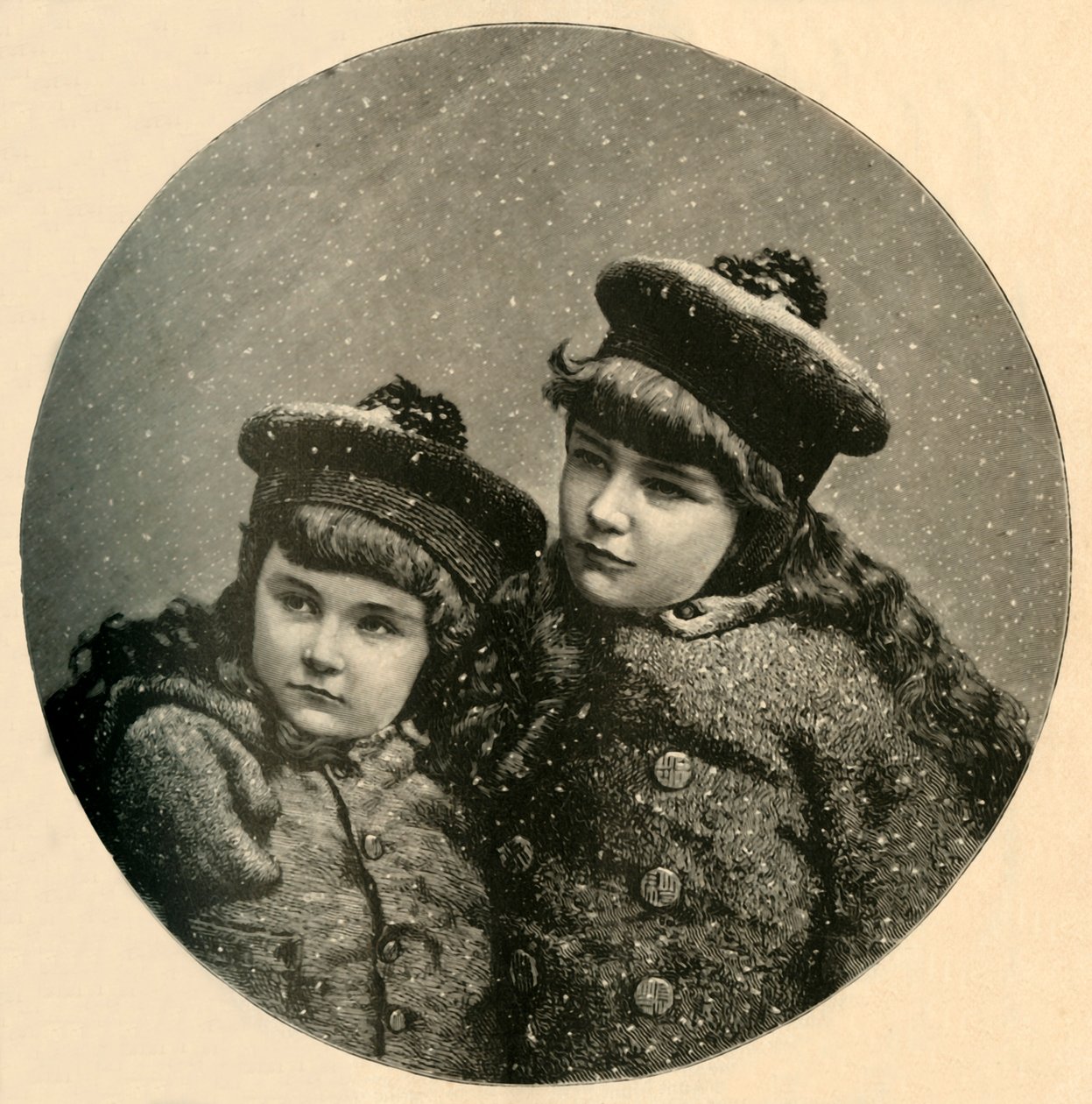 Der Weihnachtsbaum der Schneevögel, 1883 von Unbekannt