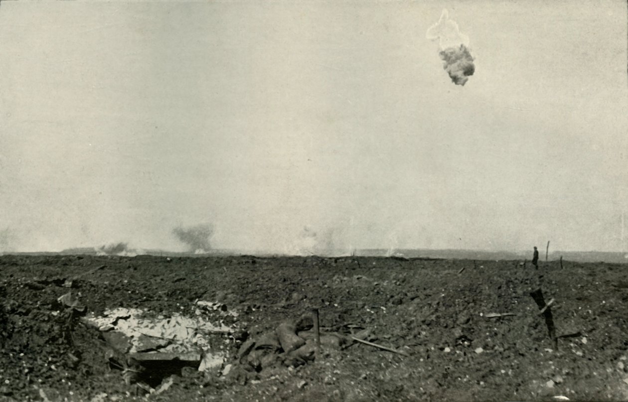 Der Wollbär, 1919 von Unbekannt
