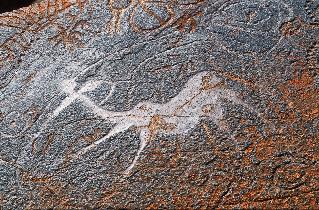 Felsmalereien von Twyfelfontein, Damaraland, Namibia von Unbekannt