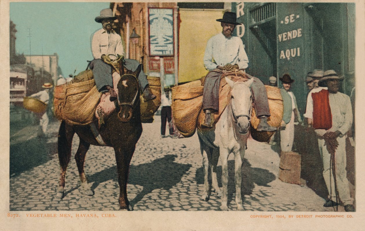 Gemüsemänner, Havanna, Kuba, 1904 von Unbekannt