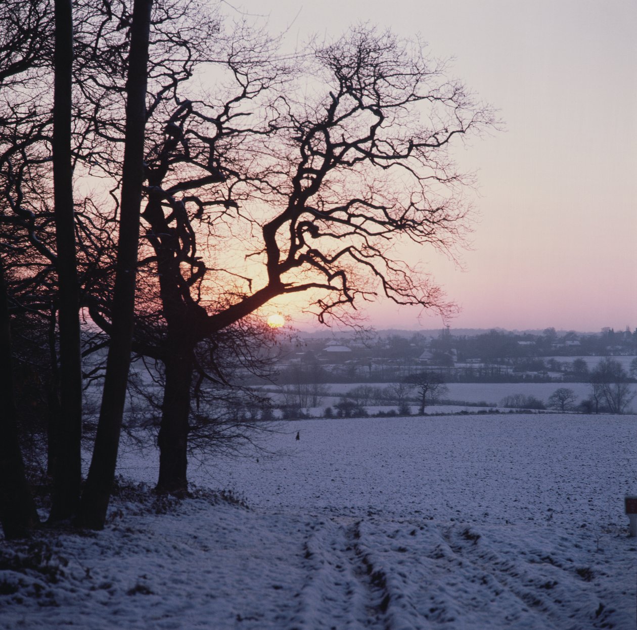 Winterszene im Schnee, Hockley, Essex von Unbekannt Unbekannt