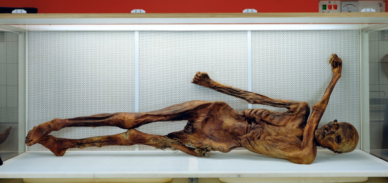 Der Ötzi-Mann von Unbekannt Unbekannt