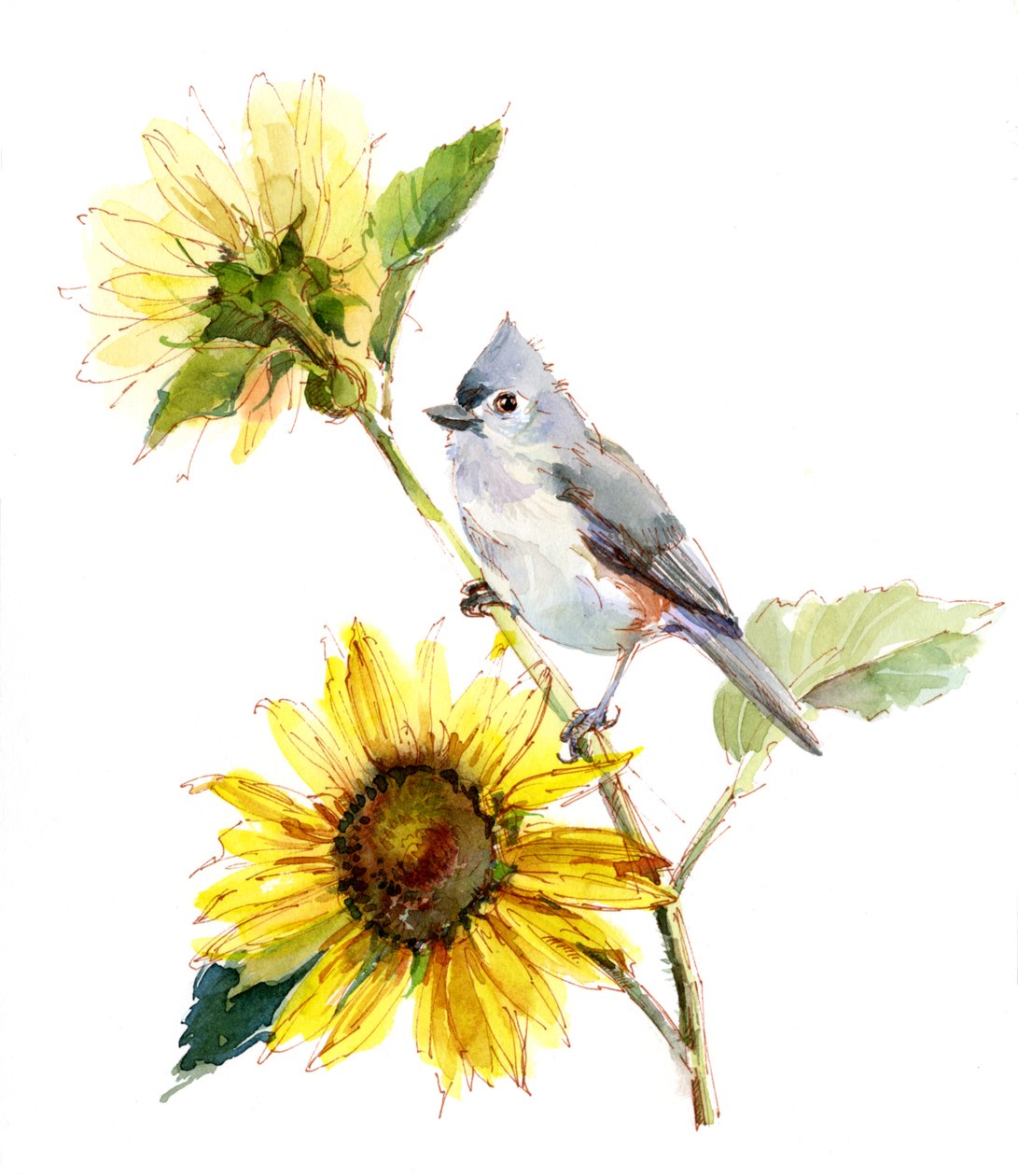 Meise mit Sonnenblume, 2016 von Unbekannt Unbekannt