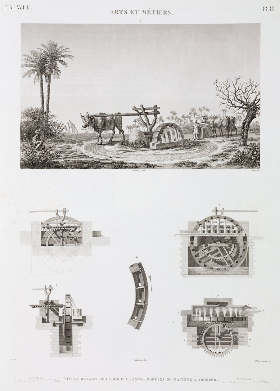 Tierkraft Tierbetriebene Bewässerung, Ägypten, ca. 1798 von Unbekannt