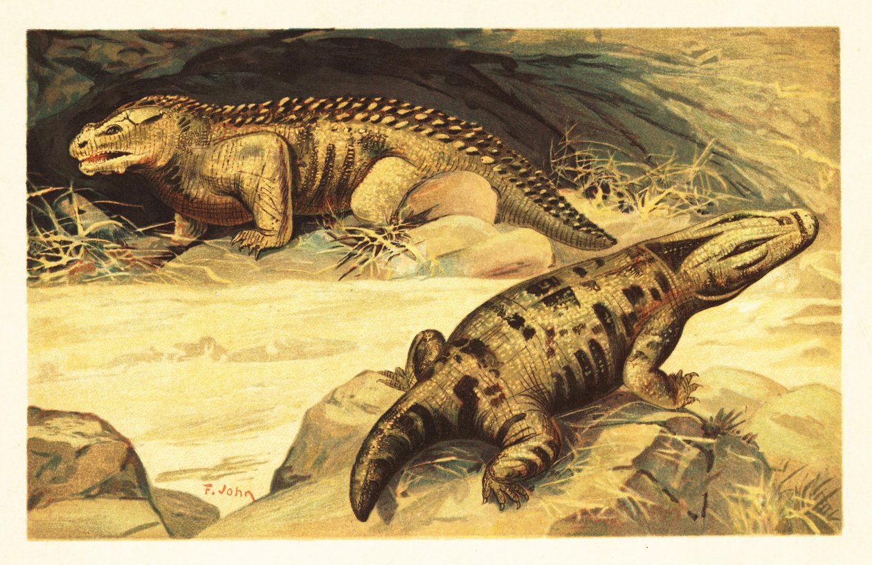Mastodonsaurus und Pareiasaurus. 1908 von Unbekannter Künstler