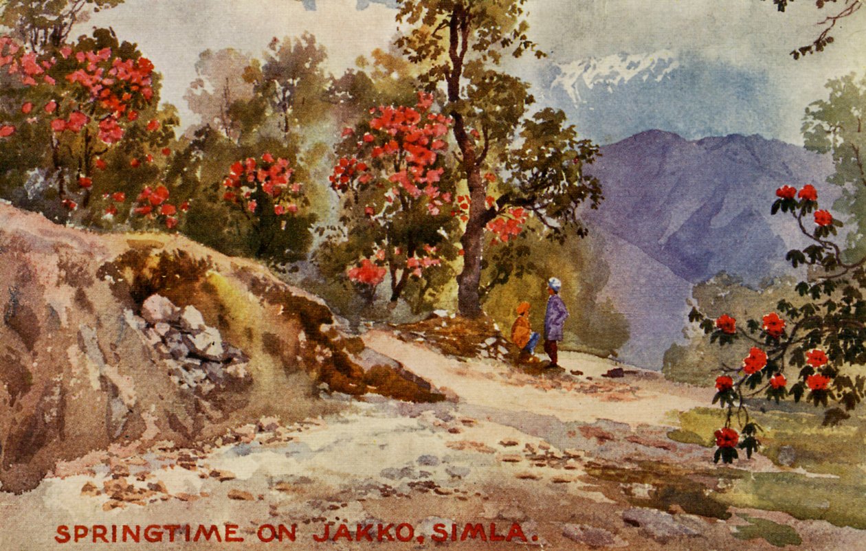 Frühling auf Jahko, Simla, Indien von Unbekannter Künstler