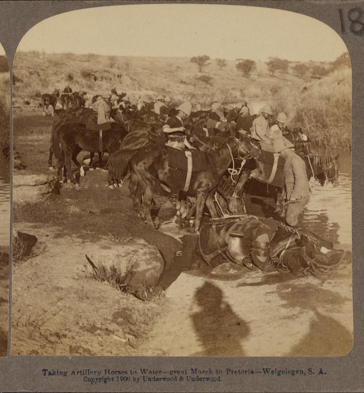 Bewässerung von Artilleriepferden, Welgelegen, Südafrika von Underwood and Underwood