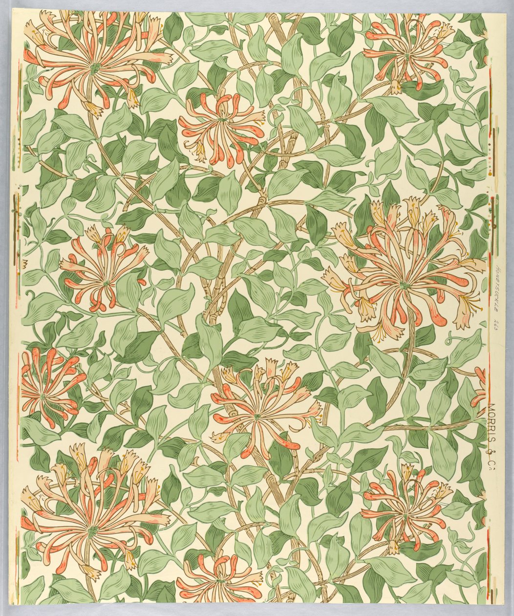 Seitenwand, Geißblatt, 1883 von Unknown