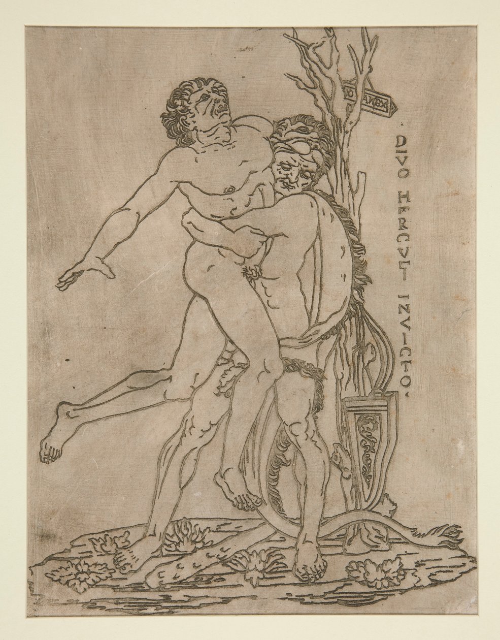 Herkules und Antäus von Unknown