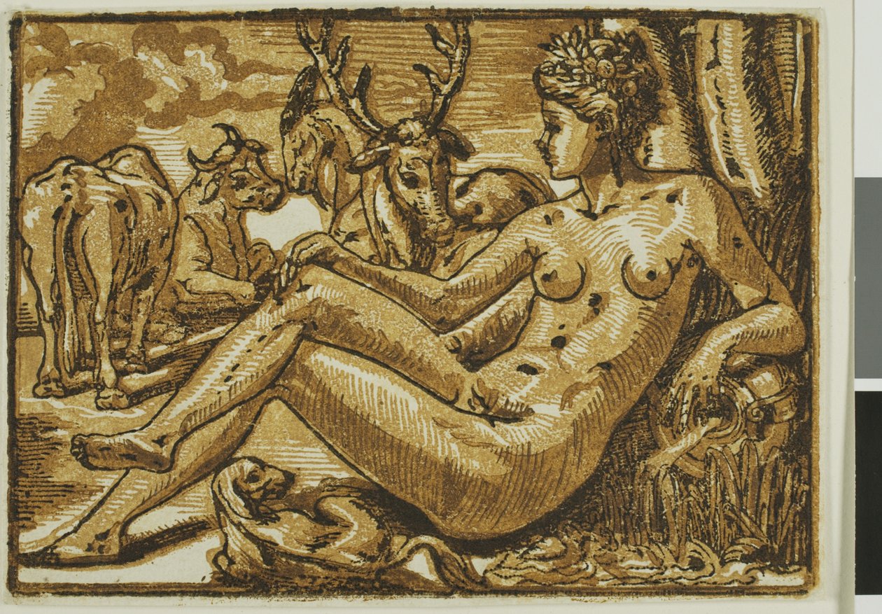 Nymphe von Fontainebleau von Unknown