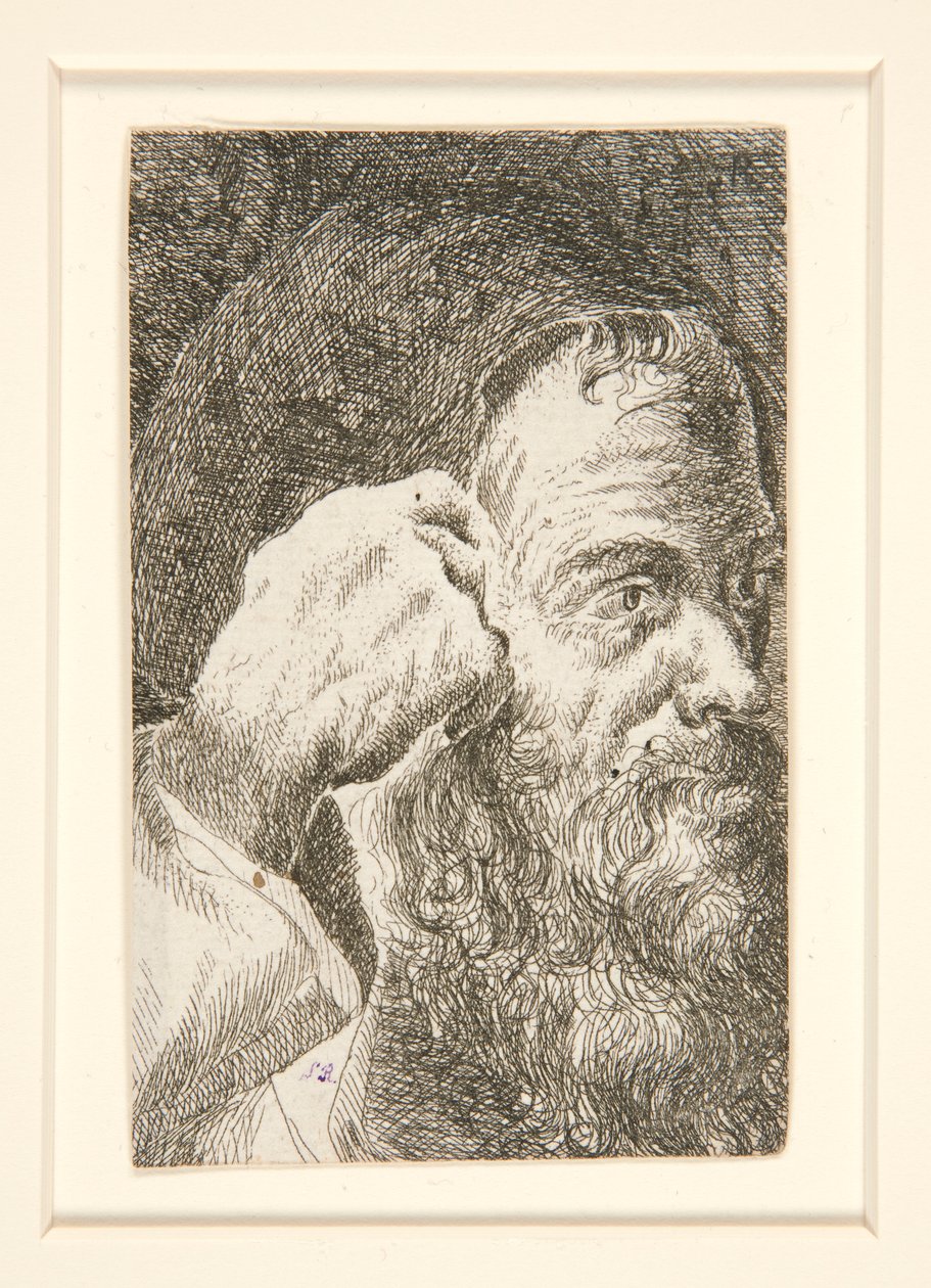 Ohne Titel (Kopf eines bärtigen Mannes) von Unknown