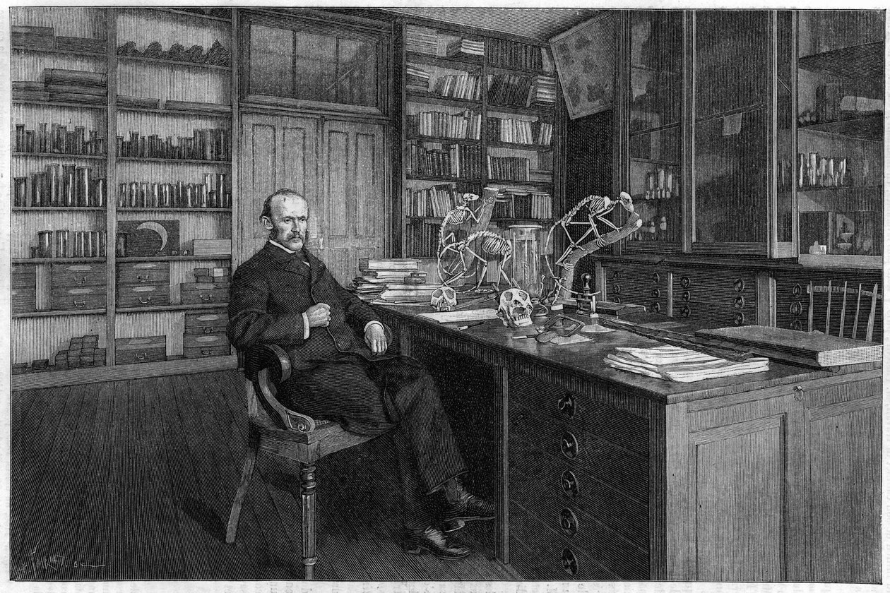 Alphonse Milne Edwards von Unknown artist