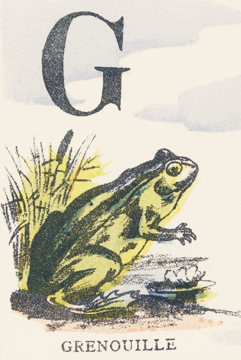 G: Frosch von Unknown artist