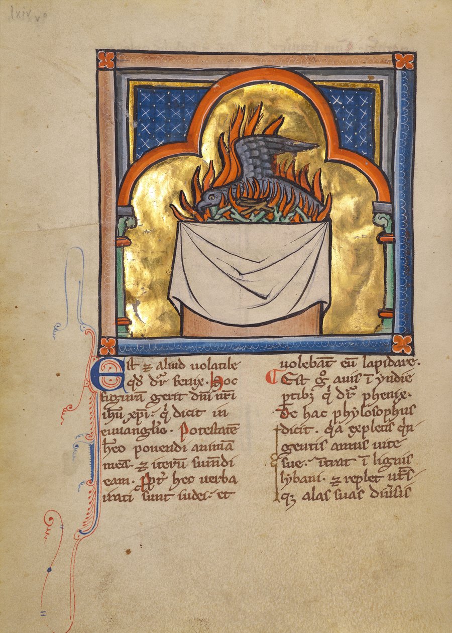 Ein Phönix von Unknown artist