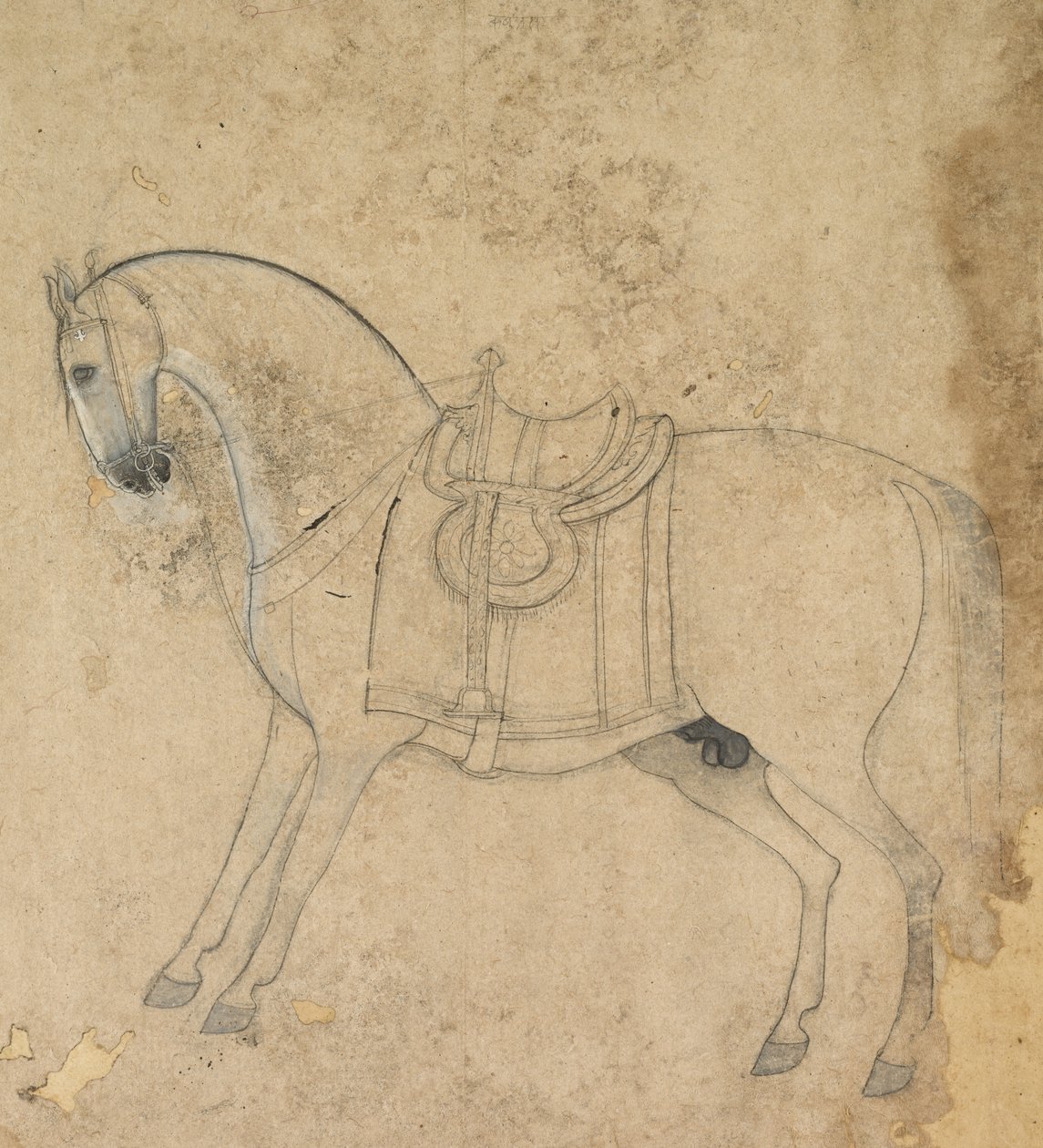 Ein gesatteltes Pferd von Unknown artist