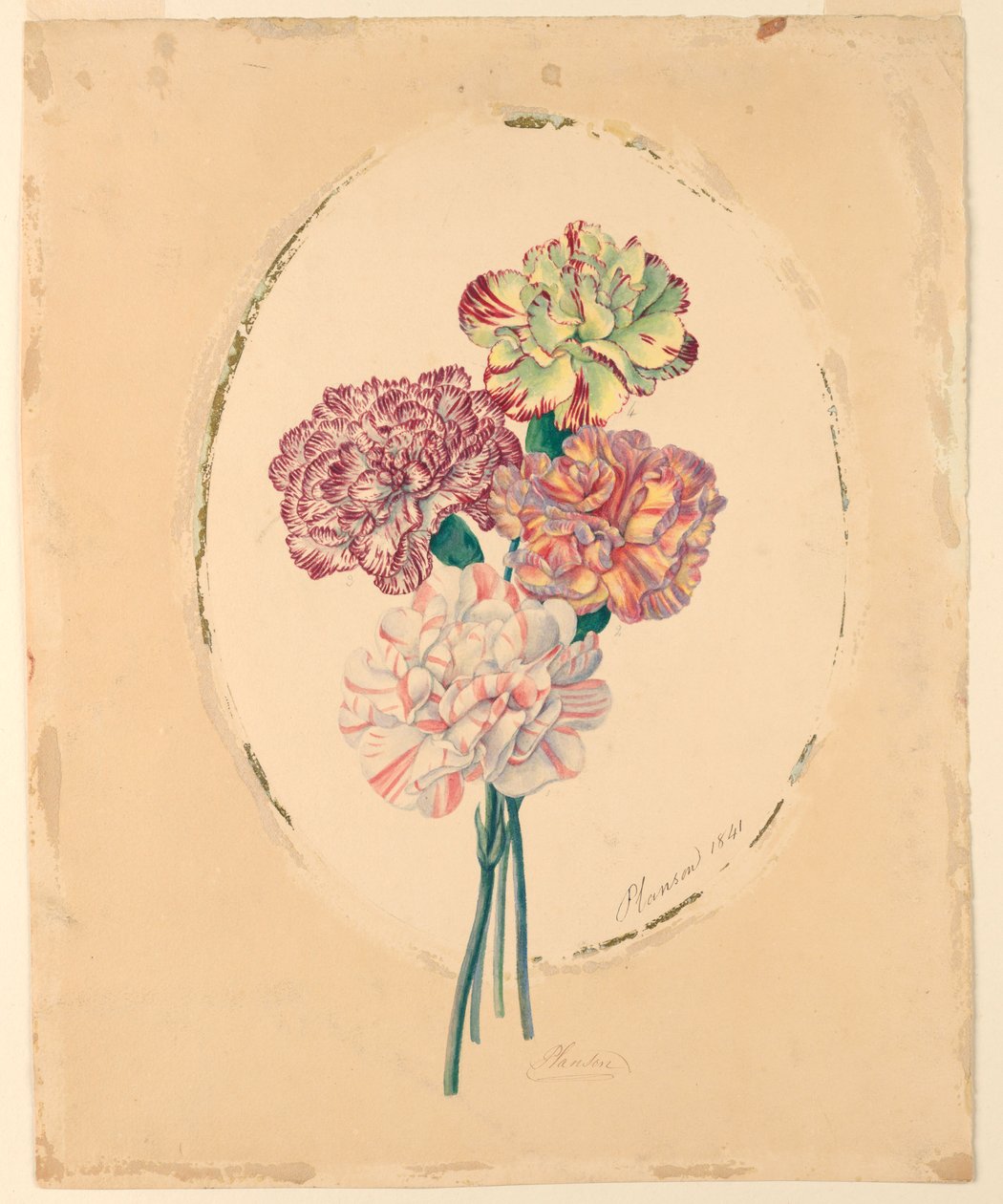 Ein Strauß von vier Nelken von Unknown artist
