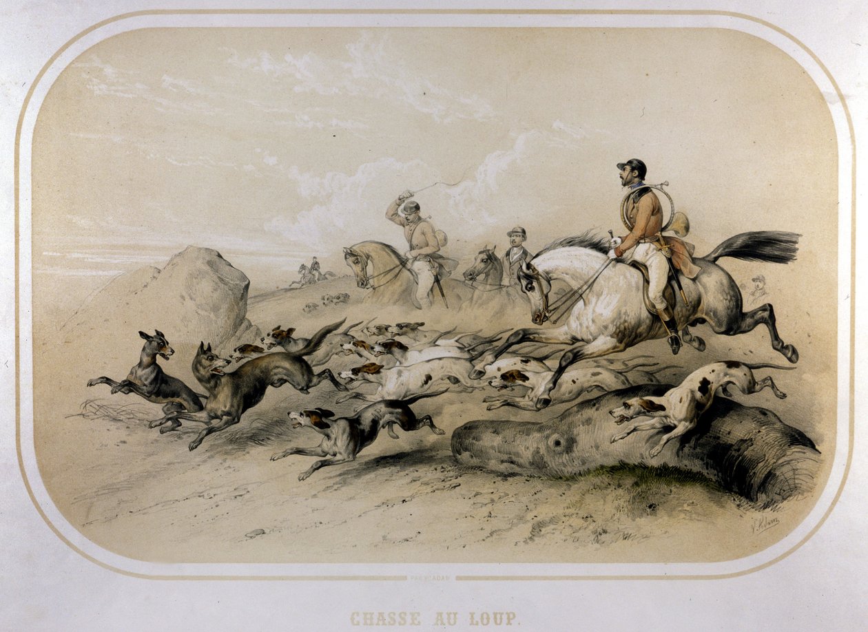 Eine Wolfsjagd. Gravur des 19. Jahrhunderts. von Unknown artist