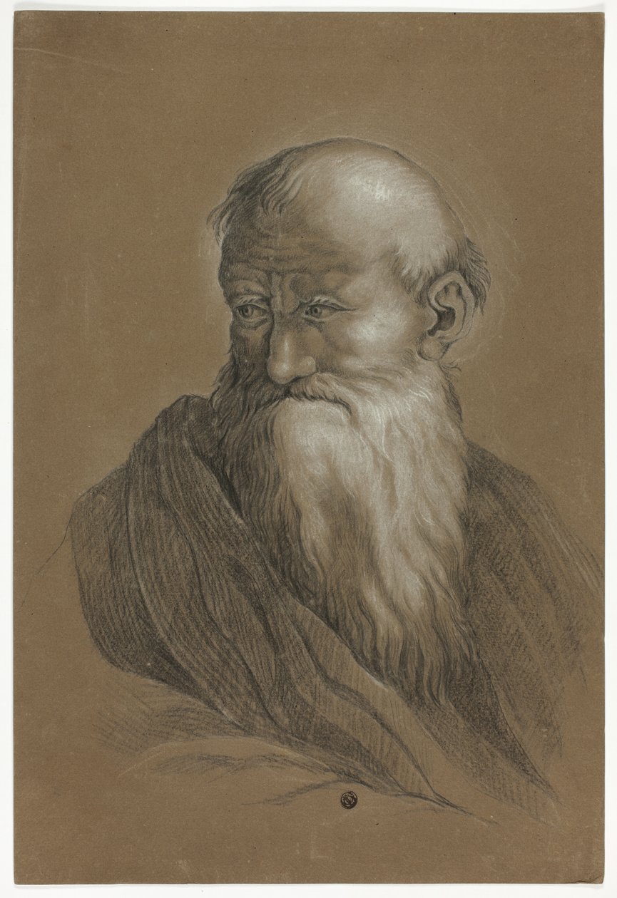 Büste eines bärtigen alten Mannes von Unknown artist