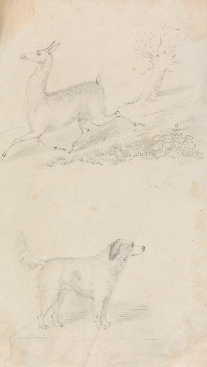 Hirsch und Hund von Unknown artist