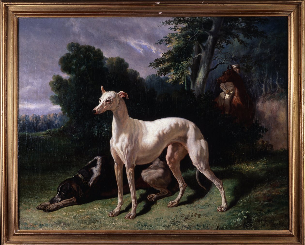 Hunde (Levary) von Unknown artist