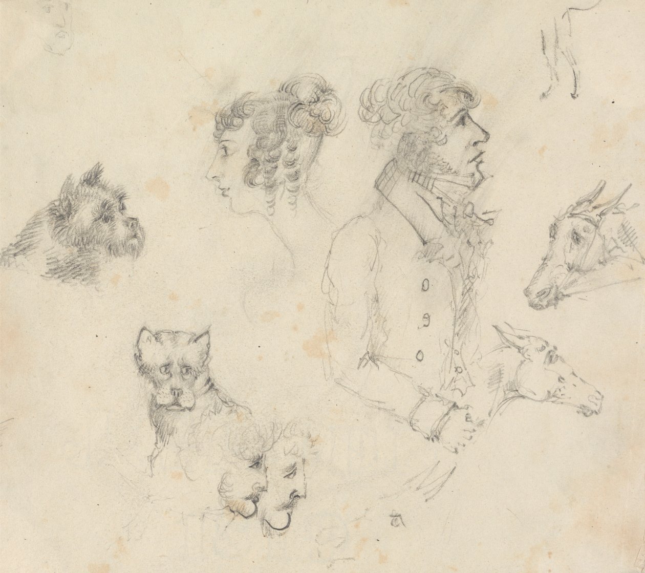 Hunde, Menschen und Pferde von Unknown artist