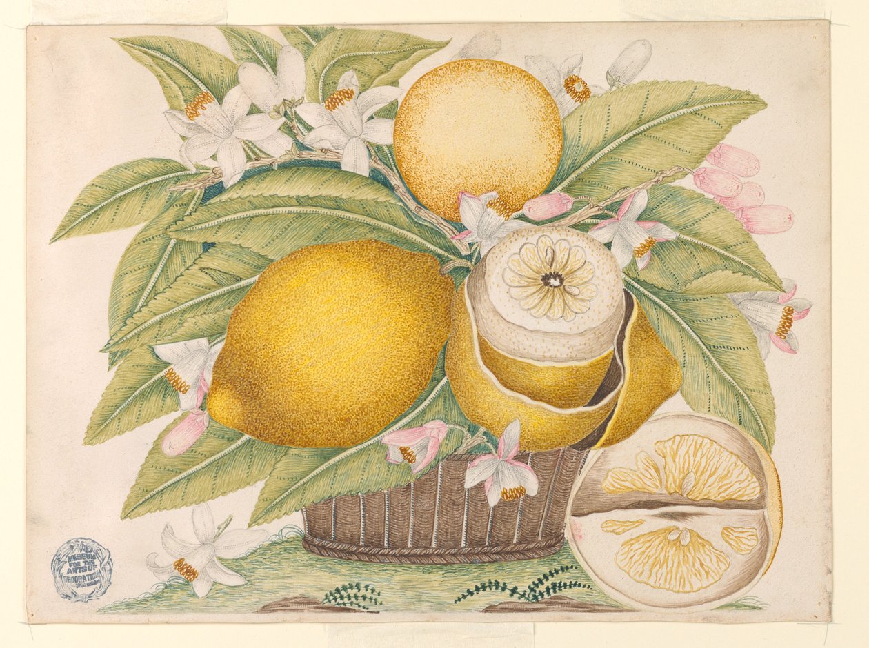 Zitronen und Zitronenblüten in einem Korb von Unknown artist