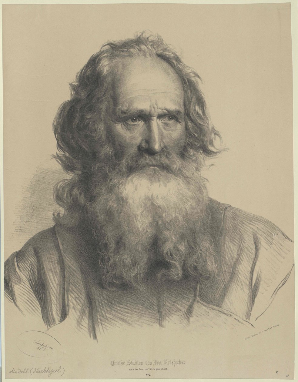 Nachtigall von Unknown artist