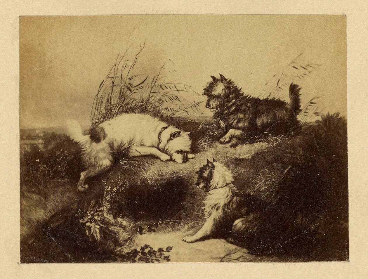 [Gemälde von Hunden von Charles Tomkins] von Unknown artist