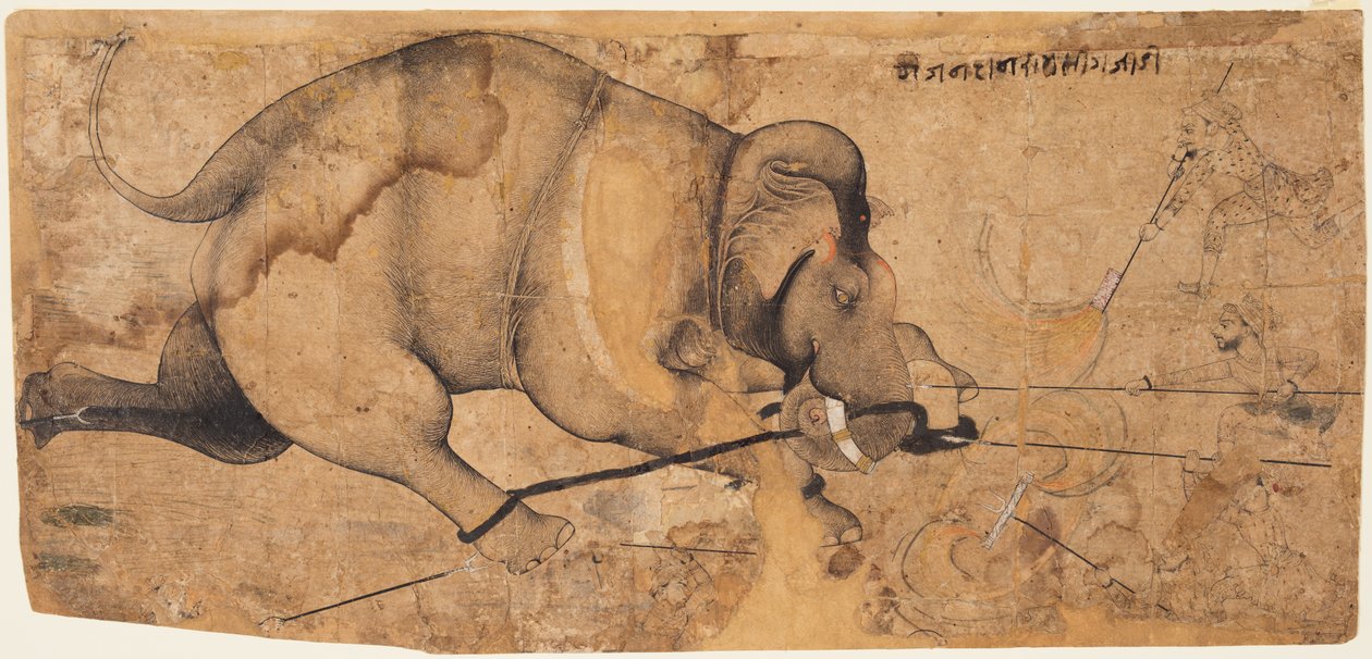 Rao Ram Singhs Elefant ist durchgedreht von Unknown artist