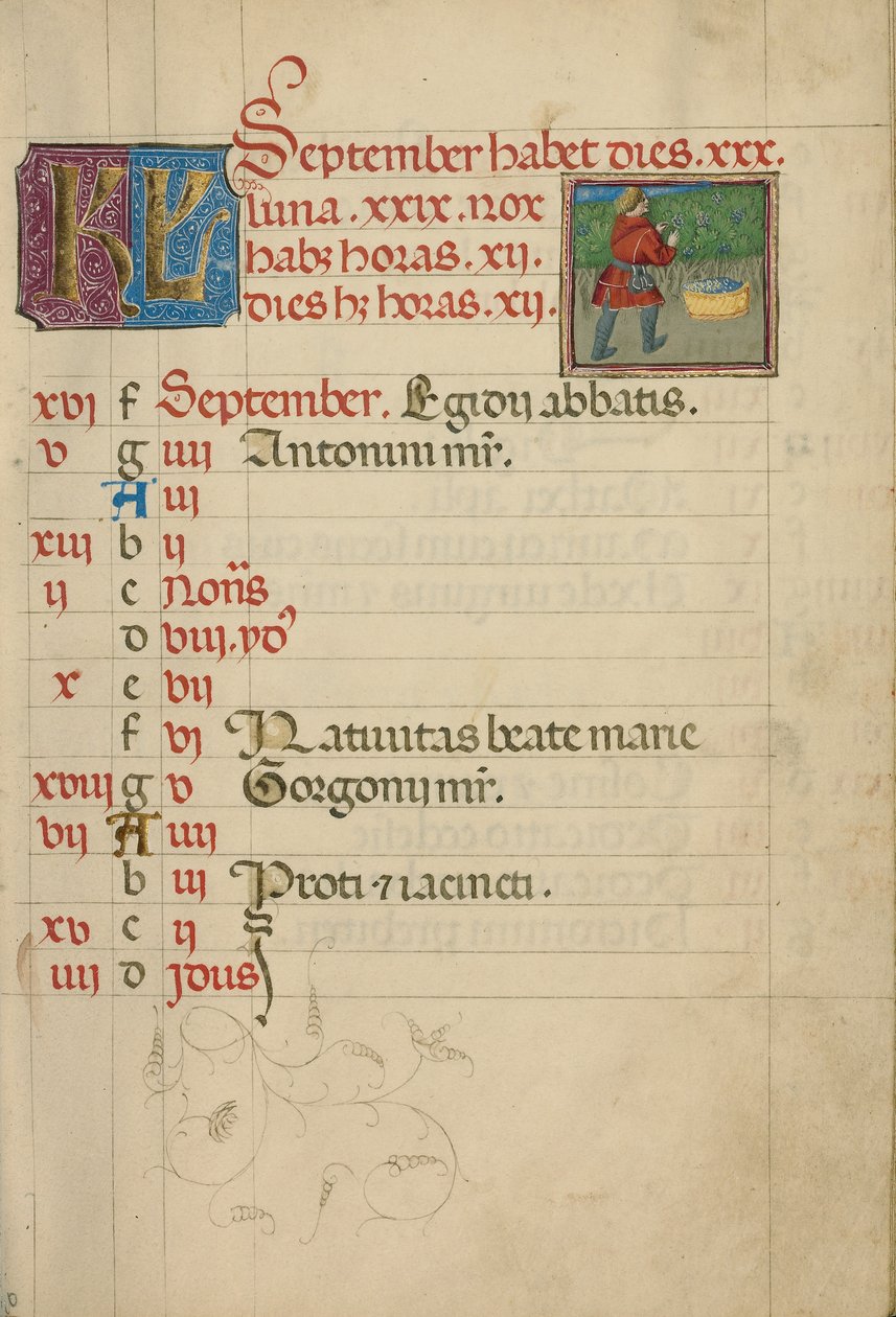 September Kalenderseite; Traubenlese von Unknown artist