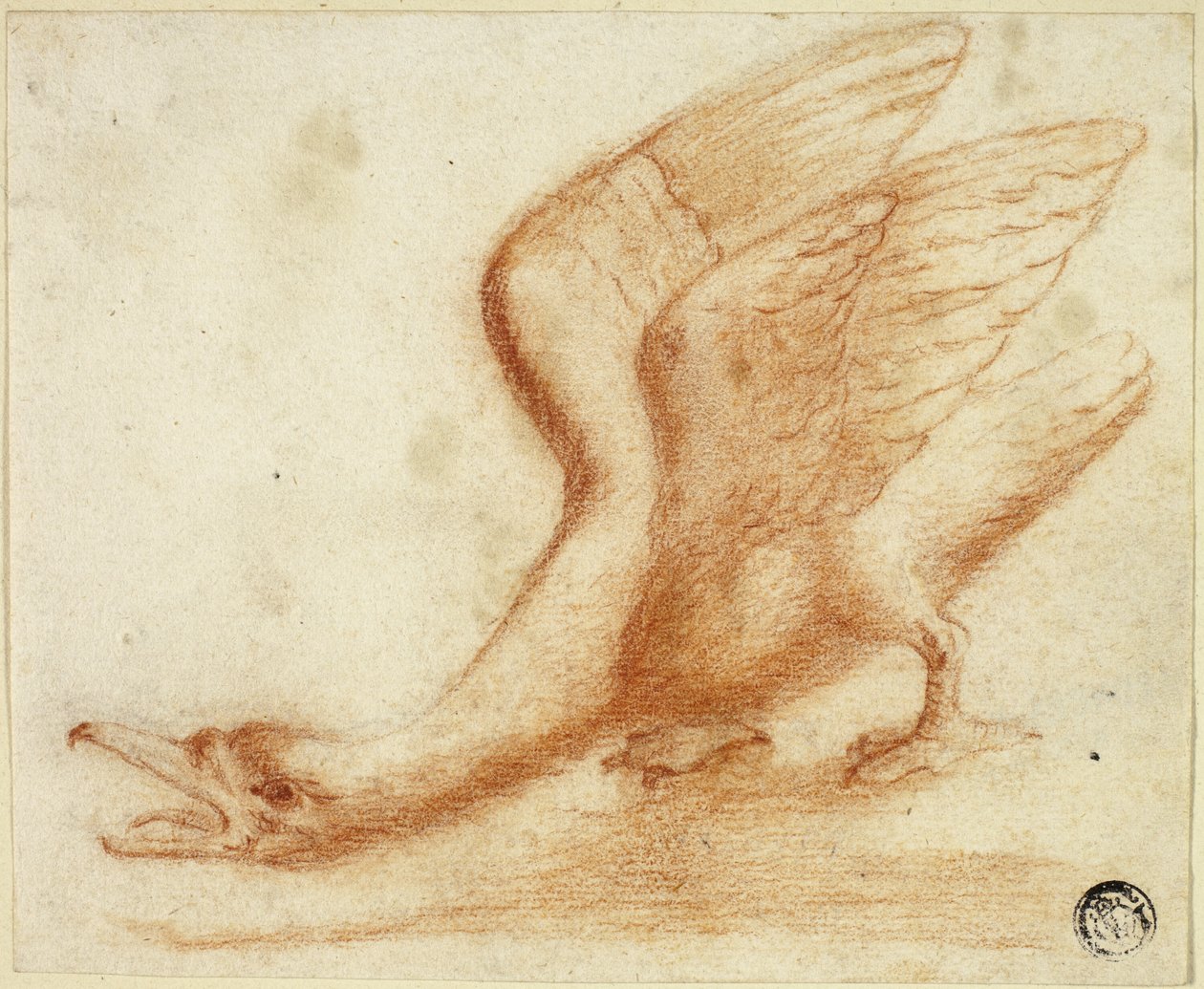Schwan von Unknown artist