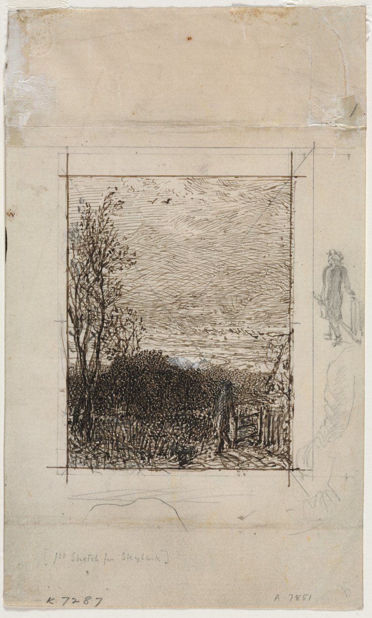Die Feldlerche von Unknown artist