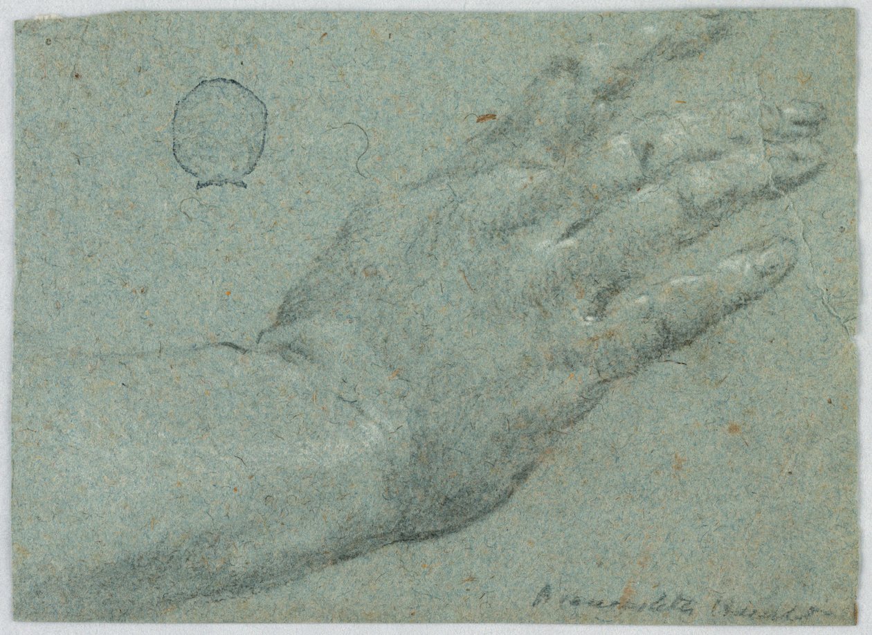Die rechte Hand eines Mannes von Unknown artist