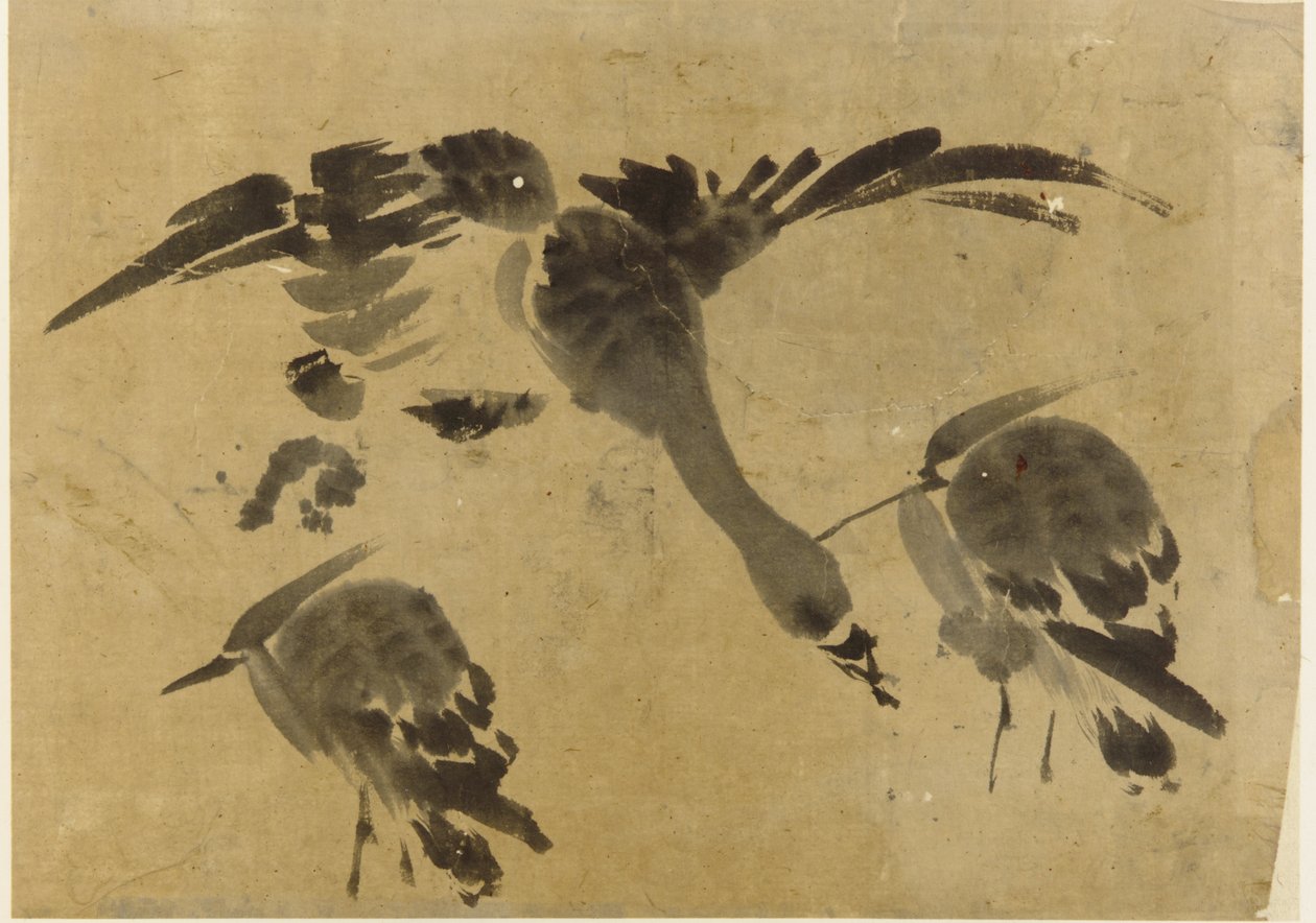 Zwei Reiher und eine Gans von Unknown artist