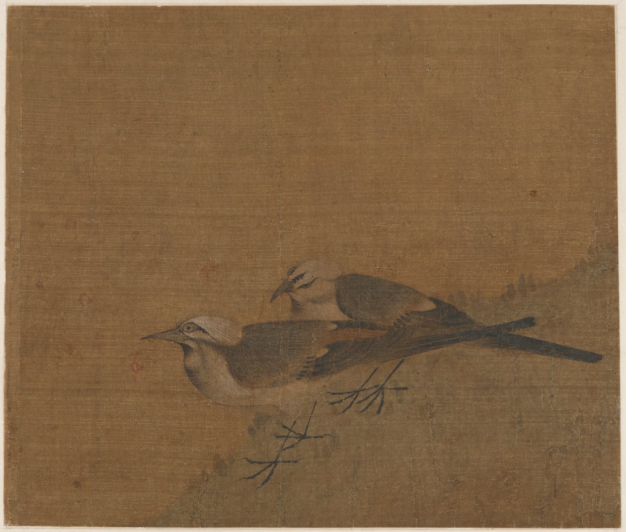 Zwei Bachstelzen von Unknown artist