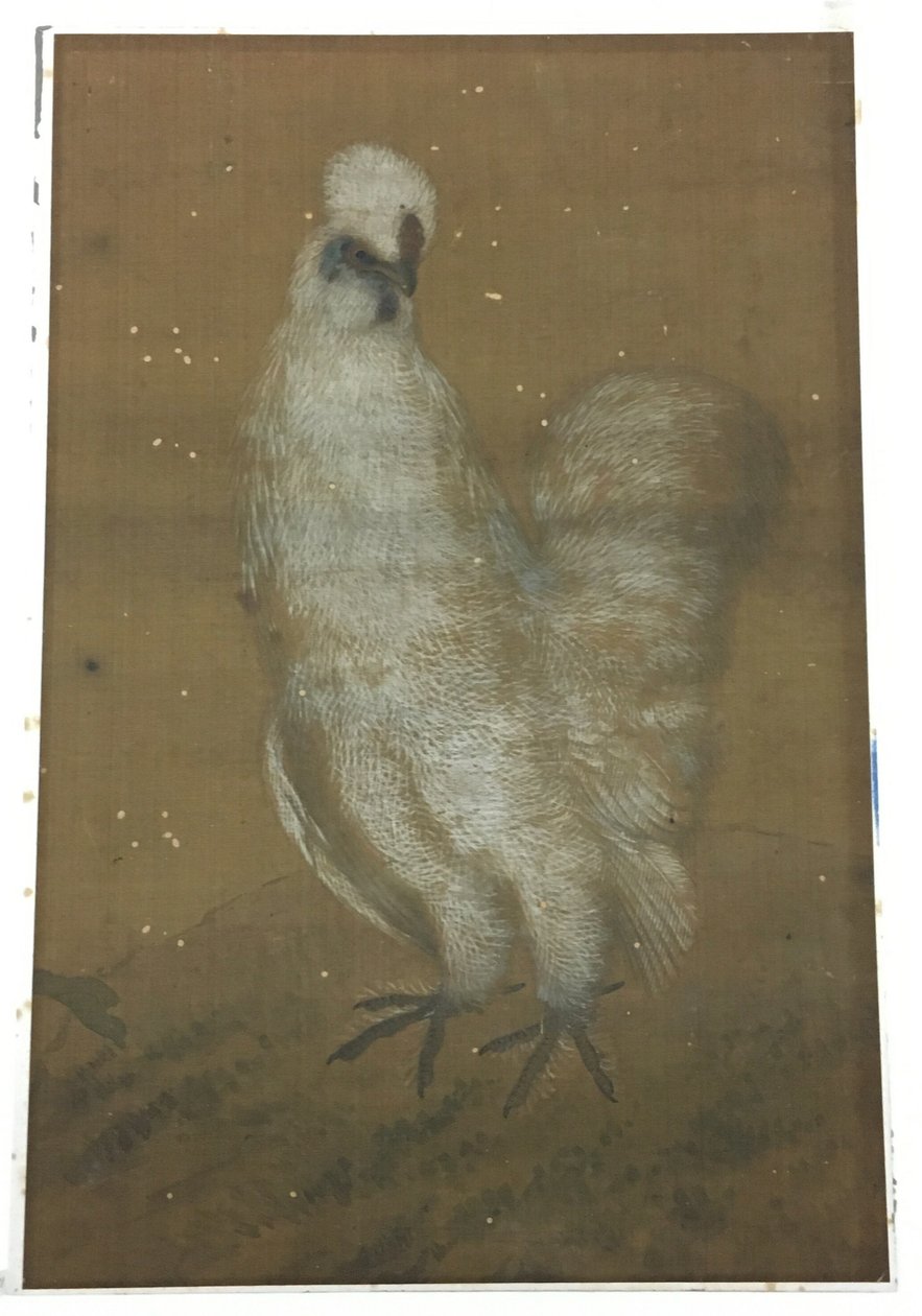 Weißer Hahn von Unknown artist