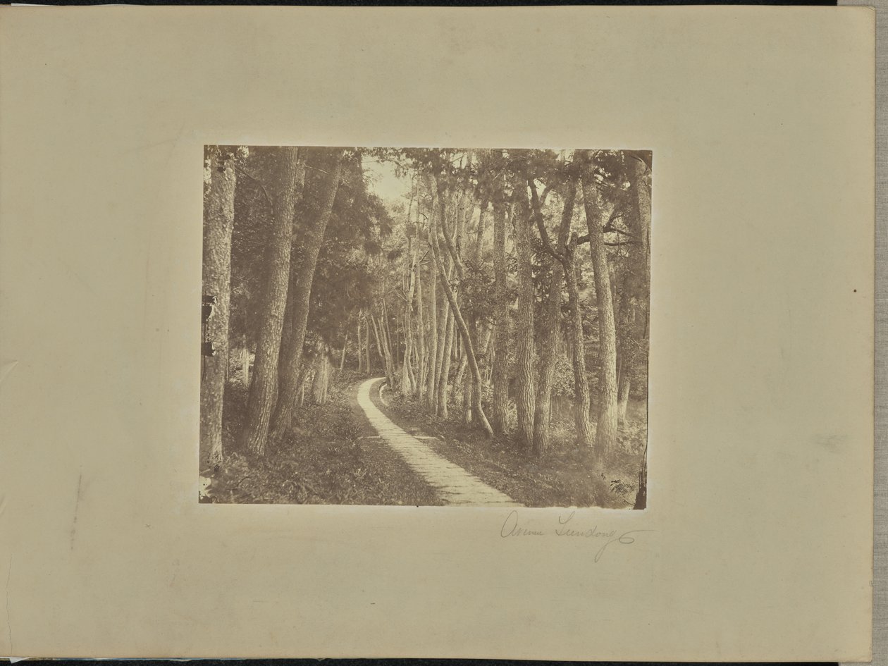 Avenue Tiendong von Unknown artist/maker