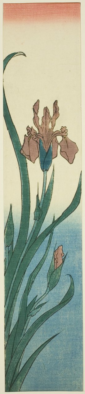 Iris von Utagawa Hiroshige