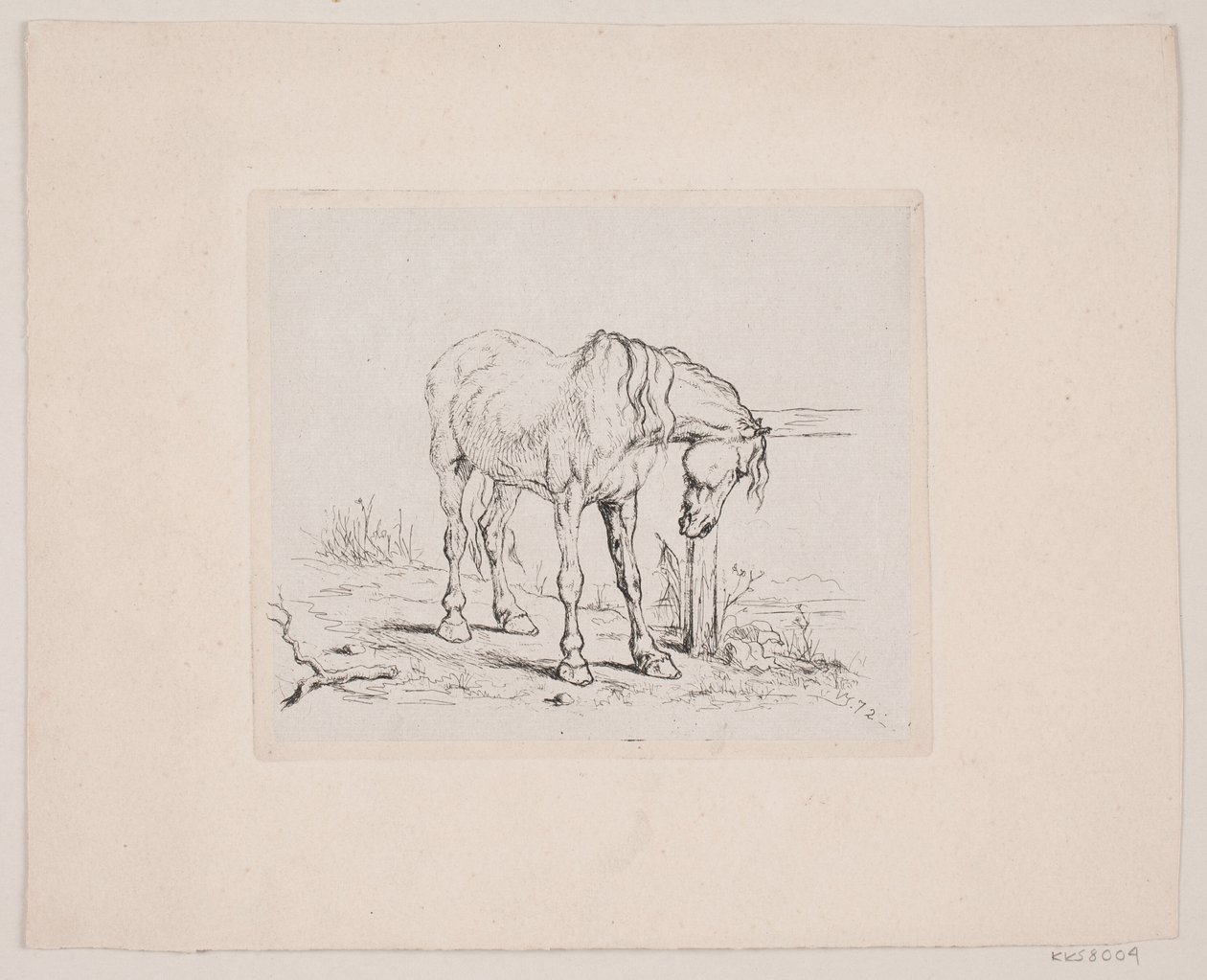 Ein altes Pferd von Valdemar Irminger