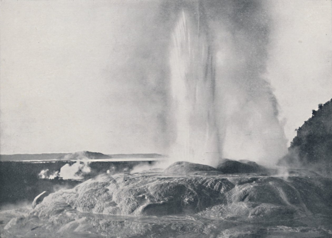 Geysir, Neuseeland, 1924 von Valentine and Sons Ltd