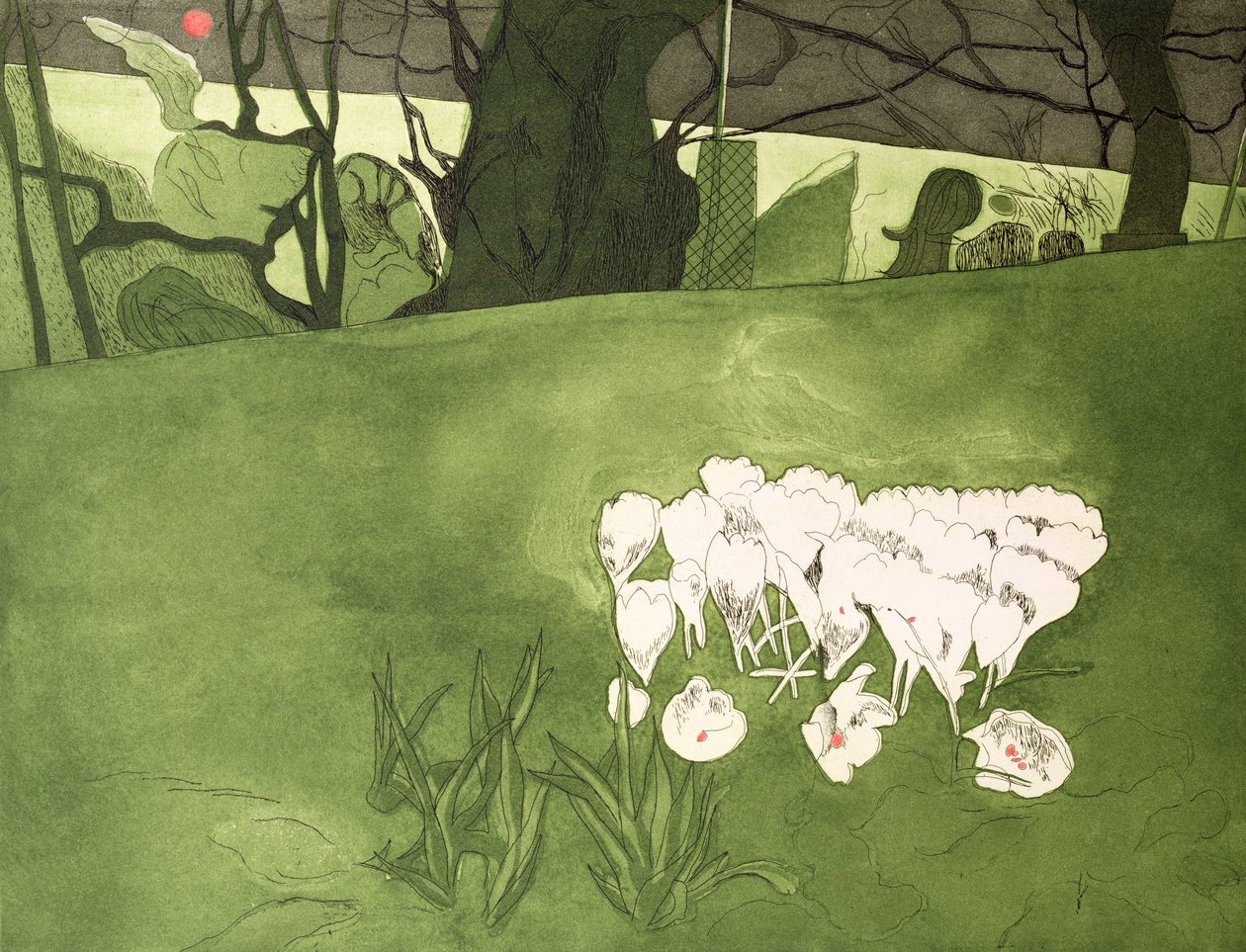 Krokus von Valerie Daniel