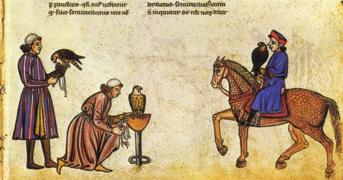Falkenbuch von Friedrich II. von Vatican Library