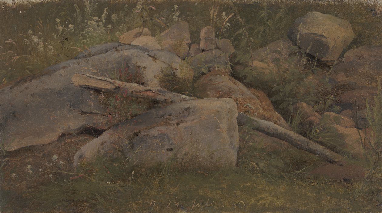 Studie eines Steinhaufens von Vilhelm Petersen
