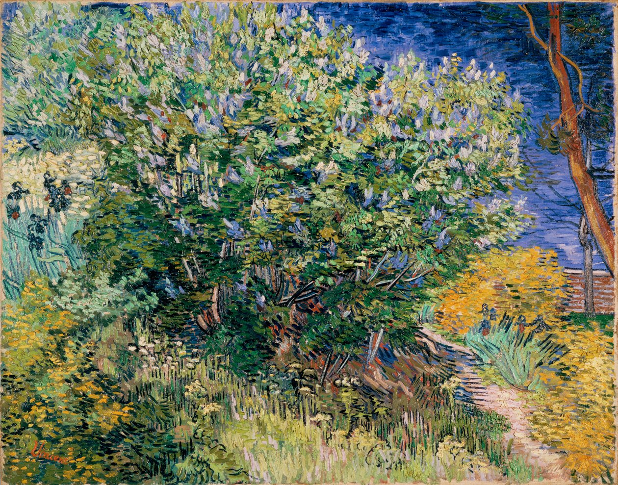 Fliederbusch von Vincent van Gogh